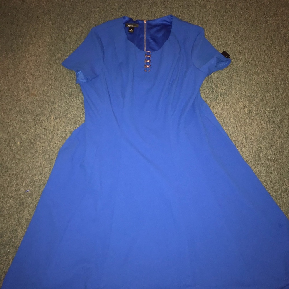 Blue short sleeve back zip up dress.